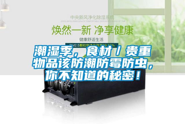 潮濕季，食材／貴重物品該防潮防霉防蟲，你不知道的秘密！
