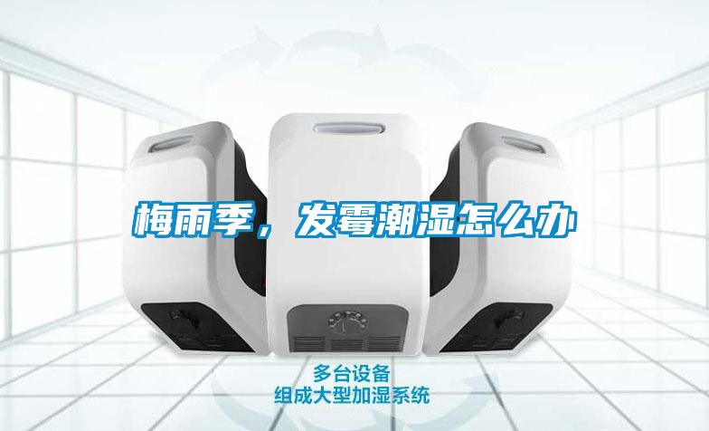 梅雨季，發霉潮濕怎么辦