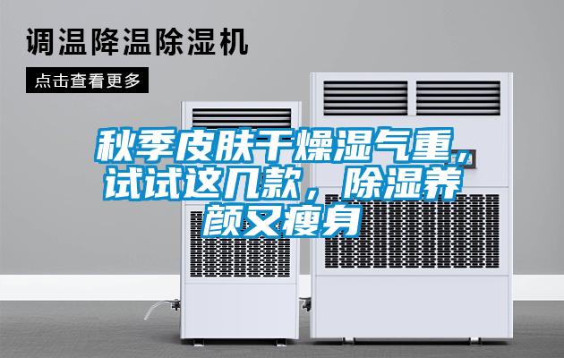 秋季皮膚干燥濕氣重，試試這幾款，除濕養顏又瘦身