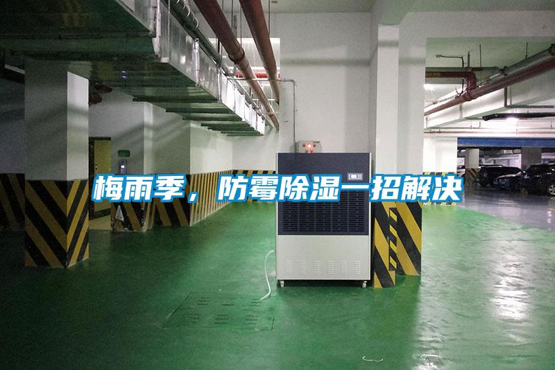 梅雨季，防霉除濕一招解決