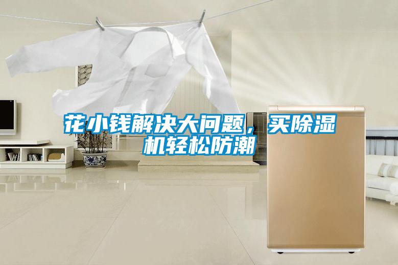 花小錢解決大問題，買除濕機輕松防潮