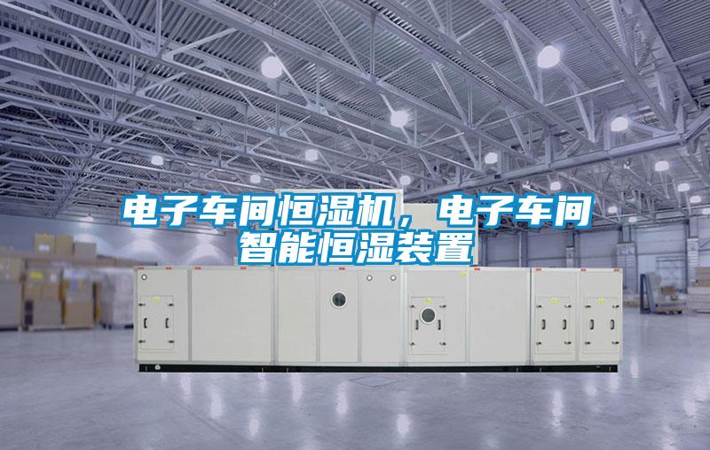 電子車間恒濕機，電子車間智能恒濕裝置