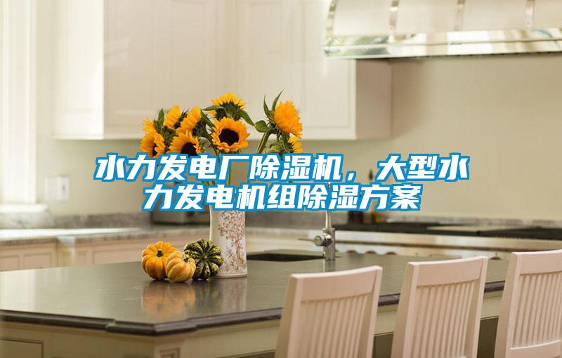 水力發電廠除濕機，大型水力發電機組除濕方案