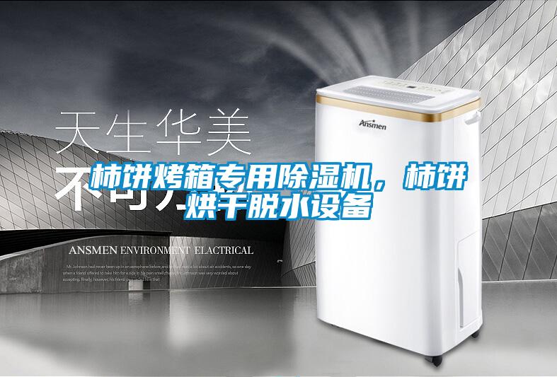 柿餅烤箱專用除濕機，柿餅烘干脫水設備