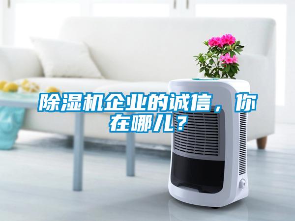 除濕機企業的誠信，你在哪兒？