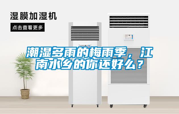 潮濕多雨的梅雨季，江南水鄉的你還好么？