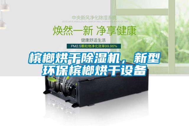 檳榔烘干除濕機，新型環保檳榔烘干設備