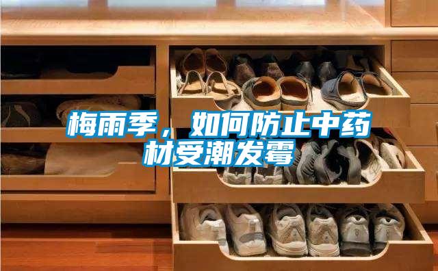 梅雨季，如何防止中藥材受潮發霉