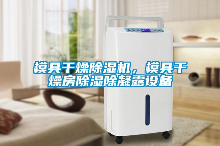 模具干燥除濕機，模具干燥房除濕除凝露設備