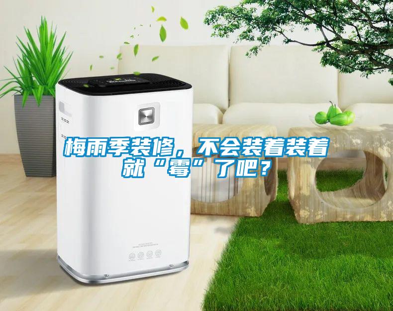 梅雨季裝修，不會裝著裝著就“霉”了吧？