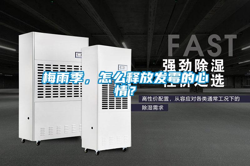 梅雨季，怎么釋放發霉的心情？