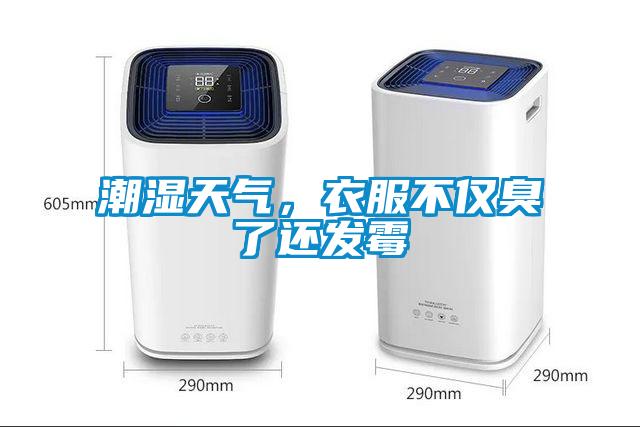 潮濕天氣，衣服不僅臭了還發霉