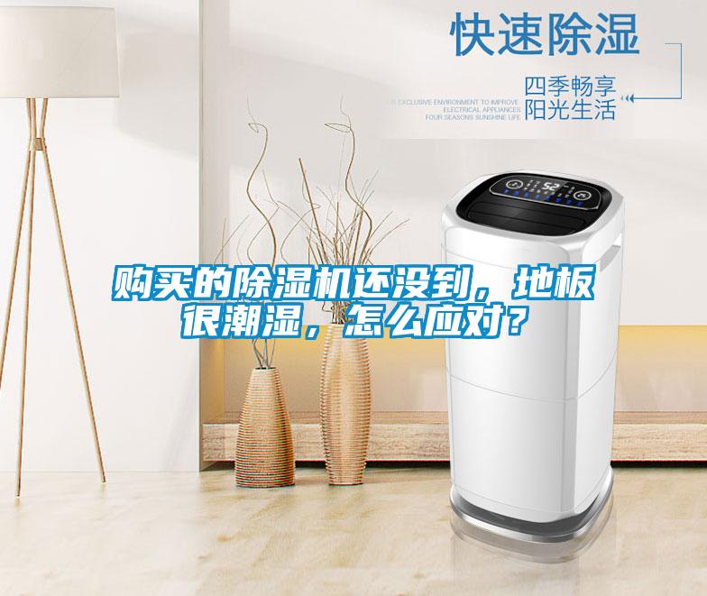 購買的除濕機還沒到，地板很潮濕，怎么應對？