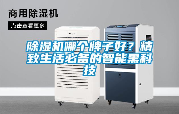 除濕機哪個牌子好？精致生活必備的智能黑科技