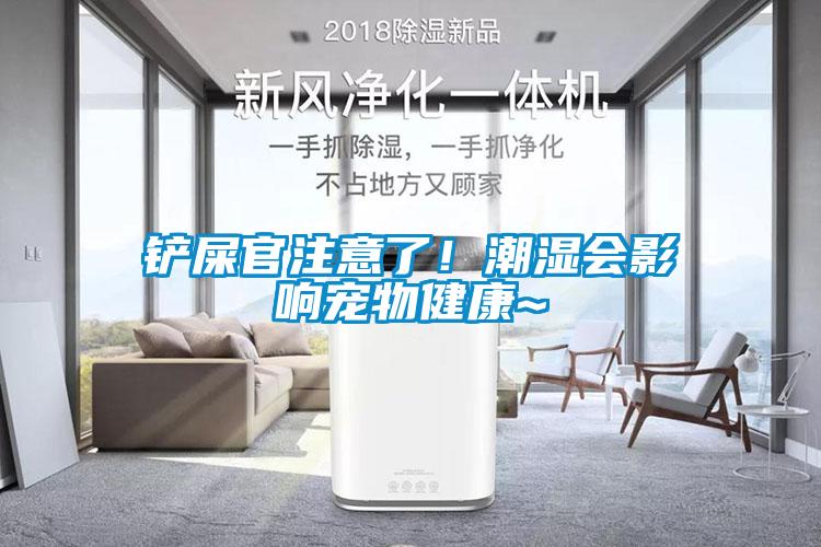 鏟屎官注意了！潮濕會影響寵物健康~