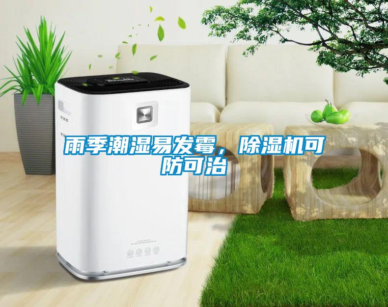 雨季潮濕易發霉，除濕機可防可治