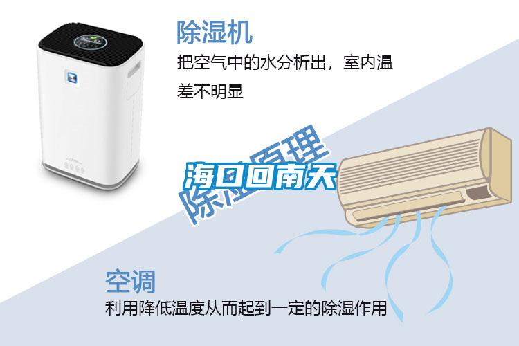 ?？诨啬咸?></div>
								<div   id=