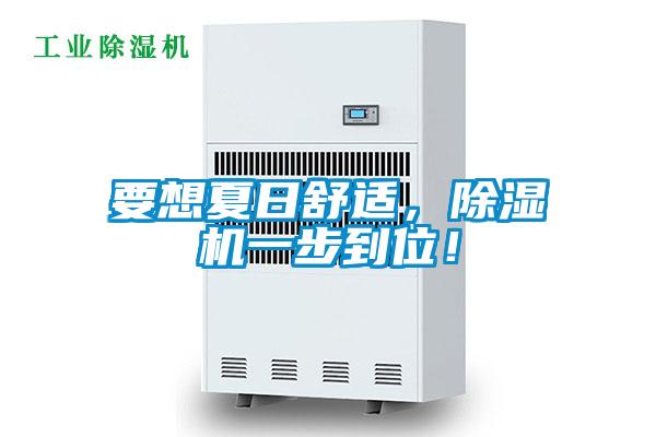 要想夏日舒適，除濕機一步到位！