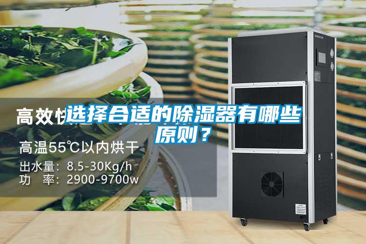 選擇合適的除濕器有哪些原則？