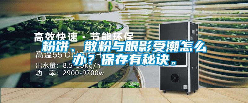 粉餅、散粉與眼影受潮怎么辦？保存有秘訣。