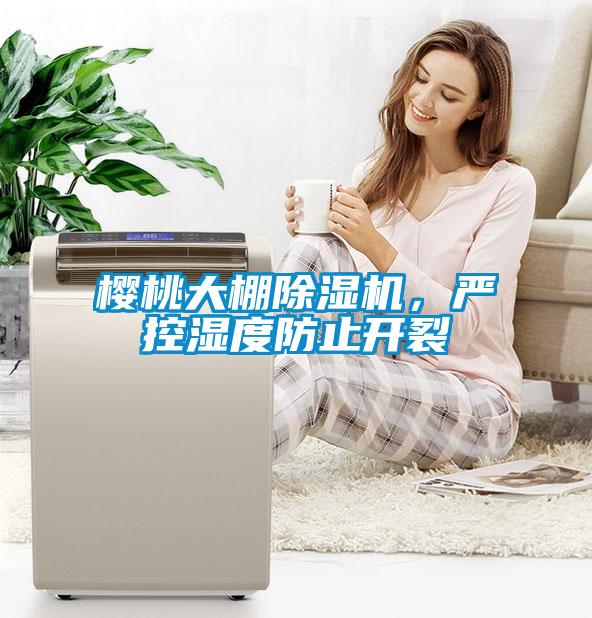 櫻桃大棚除濕機，嚴控濕度防止開裂