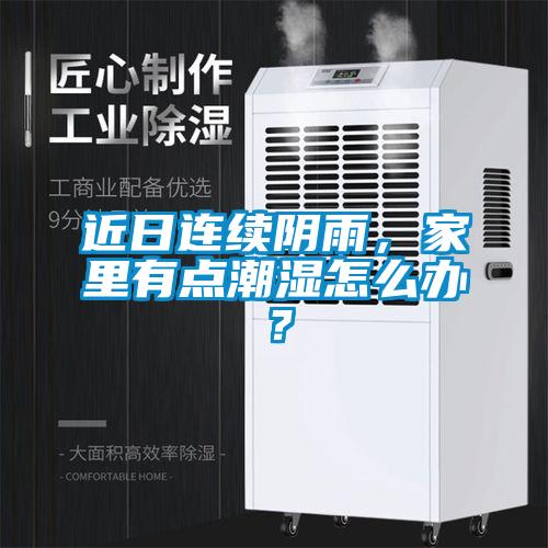 近日連續陰雨，家里有點潮濕怎么辦？
