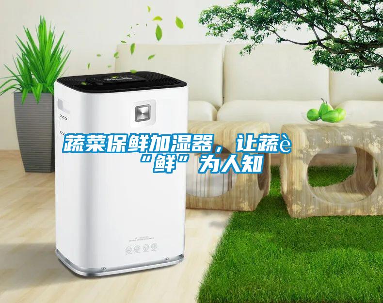 蔬菜保鮮加濕器，讓蔬菜“鮮”為人知