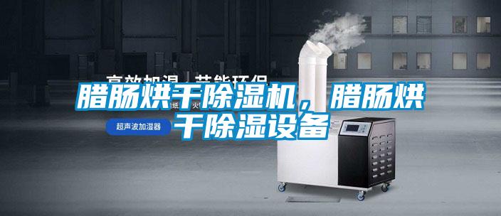 臘腸烘干除濕機，臘腸烘干除濕設備
