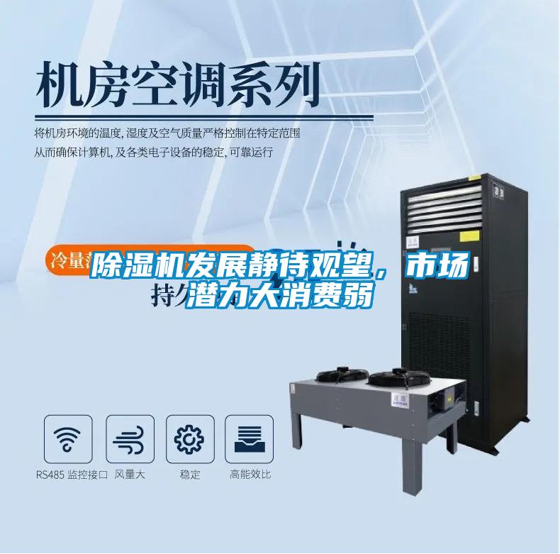 除濕機發展靜待觀望，市場潛力大消費弱