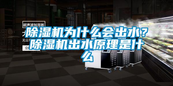 除濕機為什么會出水？除濕機出水原理是什么