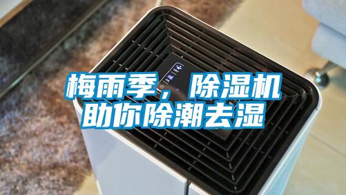 梅雨季，除濕機助你除潮去濕