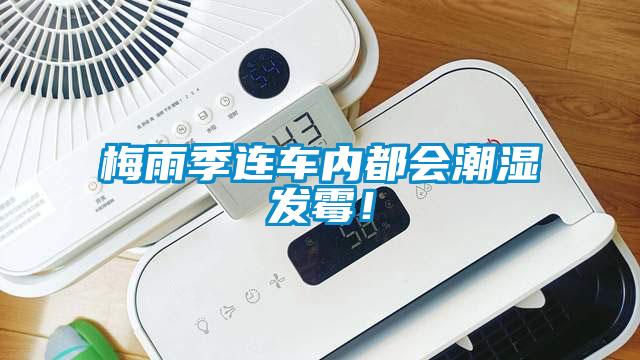 梅雨季連車內都會潮濕發霉！