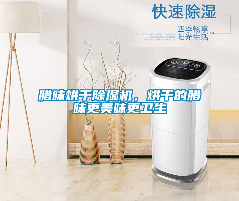 臘味烘干除濕機，烘干的臘味更美味更衛生