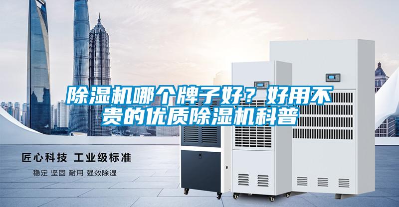 除濕機哪個牌子好？好用不貴的優質除濕機科普
