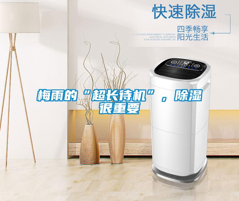 梅雨的“超長待機”，除濕很重要