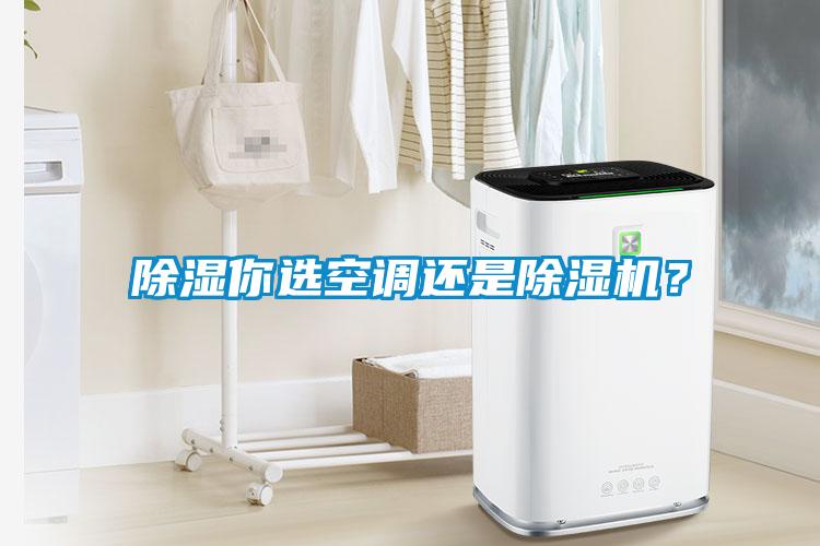 除濕你選空調還是除濕機？