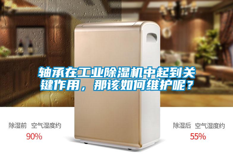 軸承在工業除濕機中起到關鍵作用，那該如何維護呢？