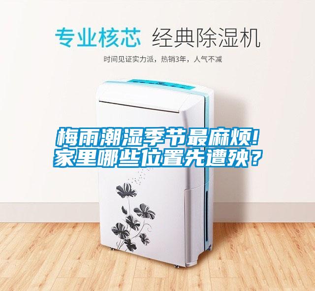 梅雨潮濕季節最麻煩!家里哪些位置先遭殃？