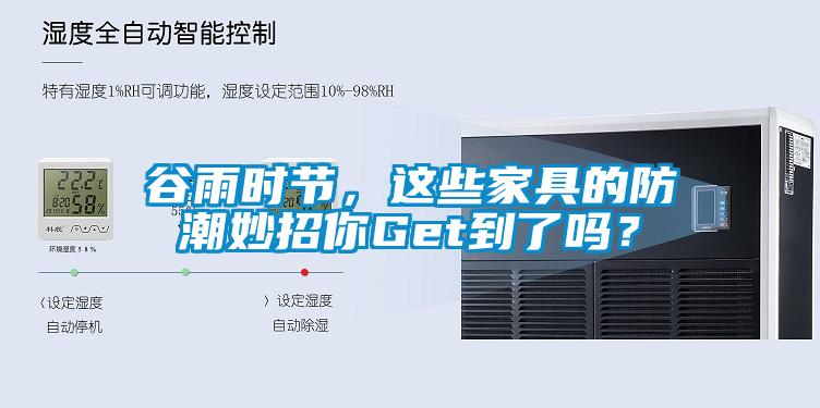 谷雨時節，這些家具的防潮妙招你Get到了嗎？