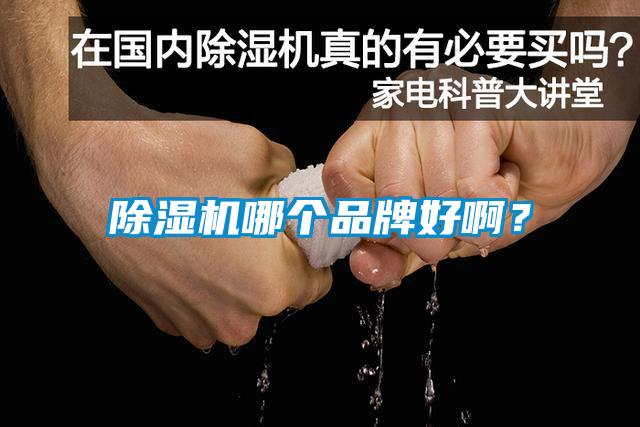 除濕機哪個品牌好???