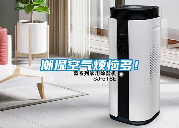 潮濕空氣煩惱多！