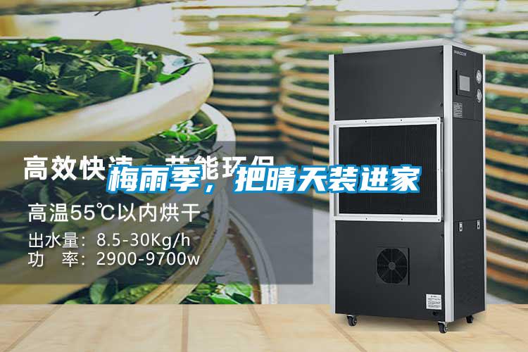 梅雨季，把晴天裝進家