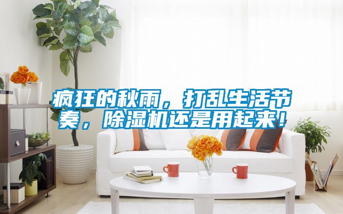 瘋狂的秋雨，打亂生活節奏，除濕機還是用起來！