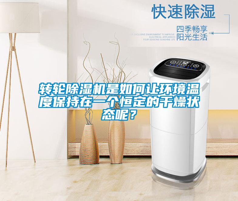 轉輪除濕機是如何讓環境溫度保持在一個恒定的干燥狀態呢？