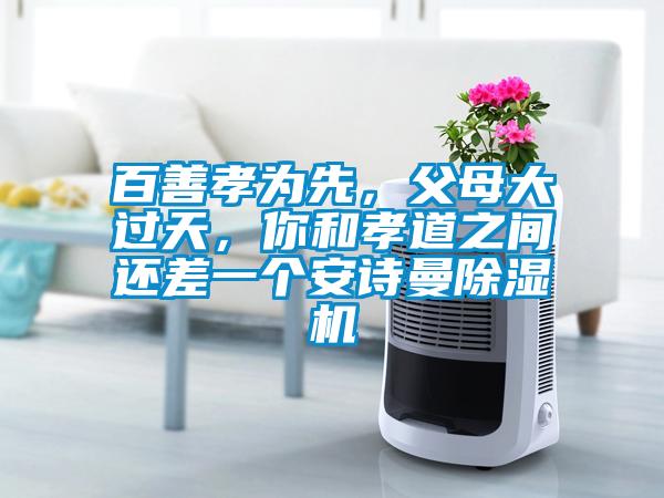 百善孝為先，父母大過天，你和孝道之間還差一個安詩曼除濕機