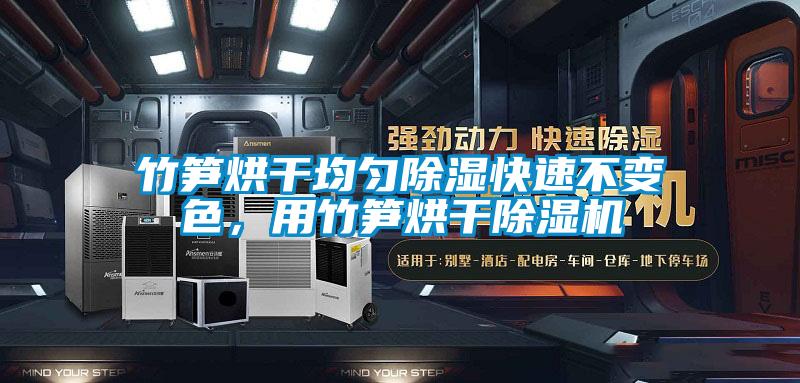 竹筍烘干均勻除濕快速不變色，用竹筍烘干除濕機