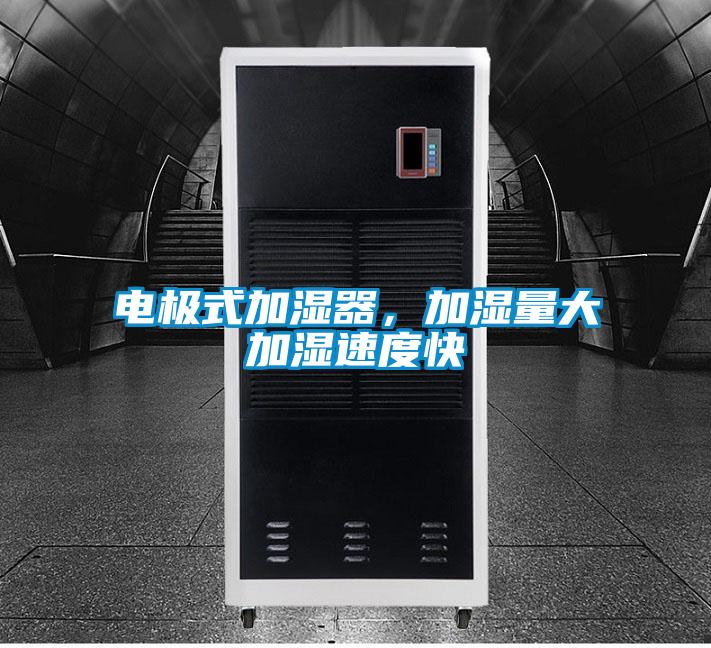 電極式加濕器，加濕量大加濕速度快