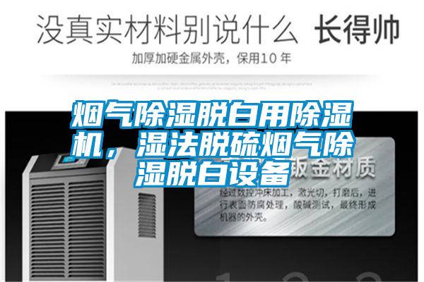 煙氣除濕脫白用除濕機，濕法脫硫煙氣除濕脫白設備