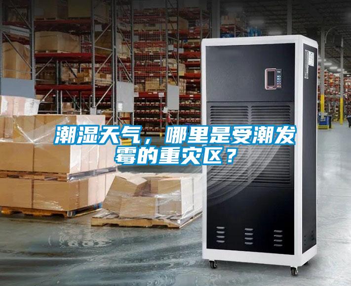 潮濕天氣，哪里是受潮發霉的重災區？