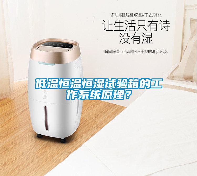 低溫恒溫恒濕試驗箱的工作系統原理？